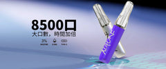梟客 8500口 拋棄式 買十送一