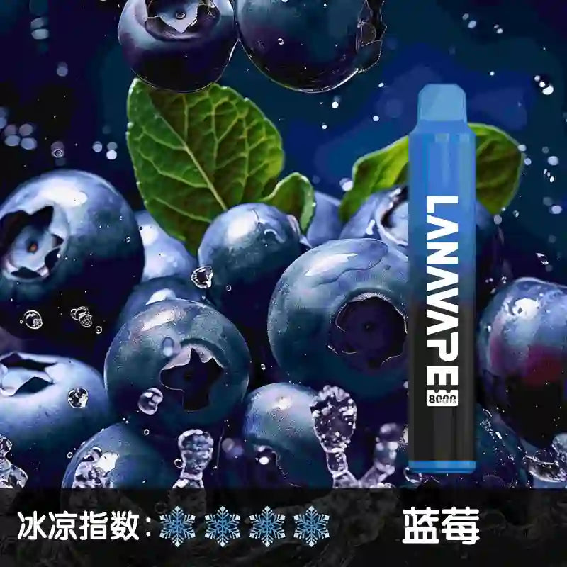 LANA拉娜8000口 拋棄式 買十送一