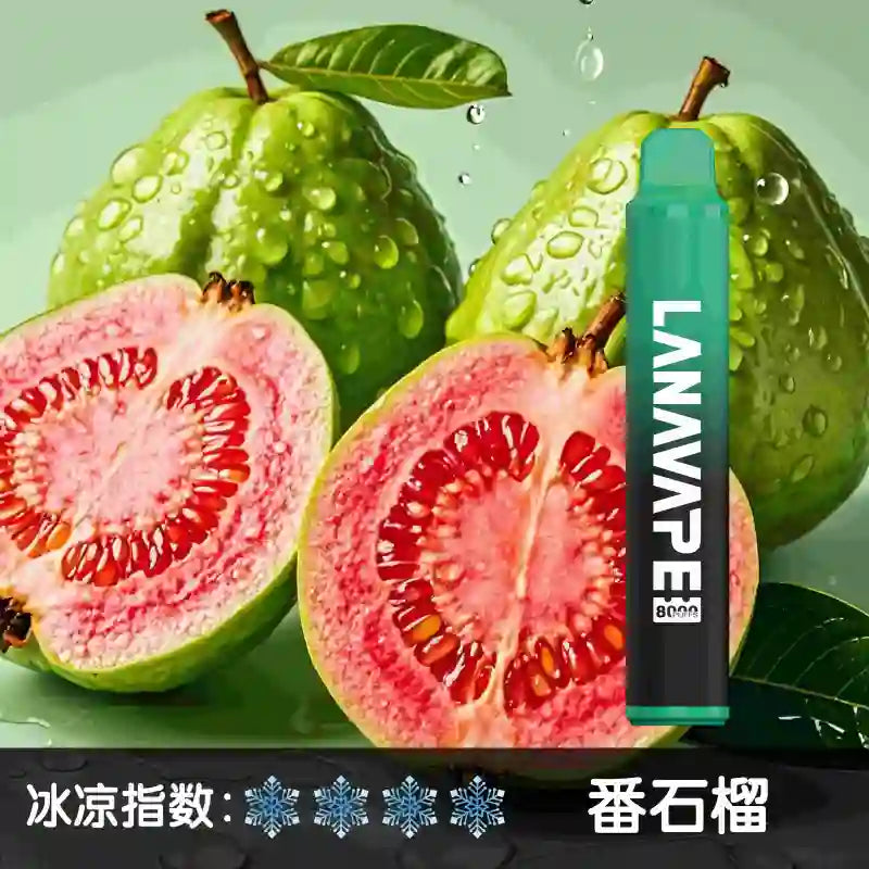 LANA拉娜8000口 拋棄式 買十送一