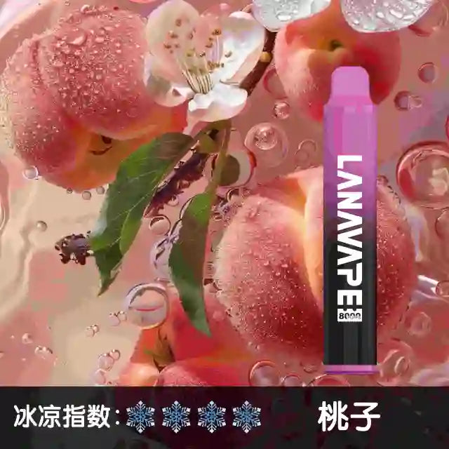 LANA拉娜8000口 拋棄式 買十送一