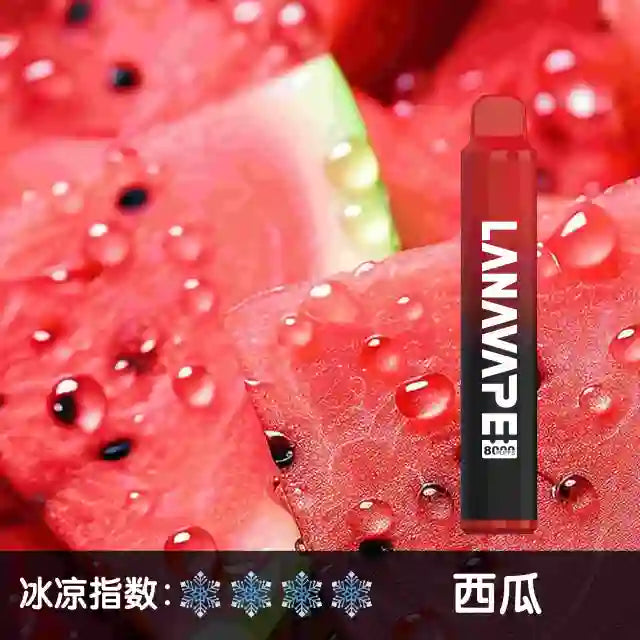 LANA拉娜8000口 拋棄式 買十送一