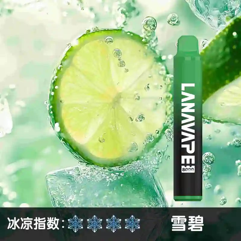 LANA拉娜8000口 拋棄式 買十送一