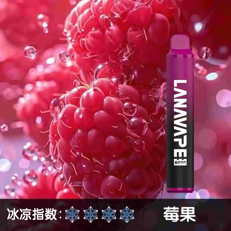 LANA拉娜8000口 拋棄式 買十送一