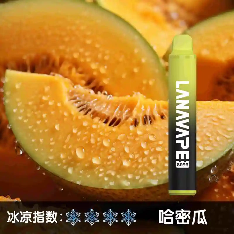 LANA拉娜8000口 拋棄式 買十送一