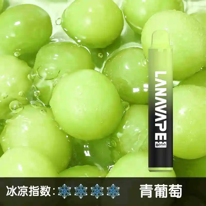LANA拉娜8000口 拋棄式 買十送一