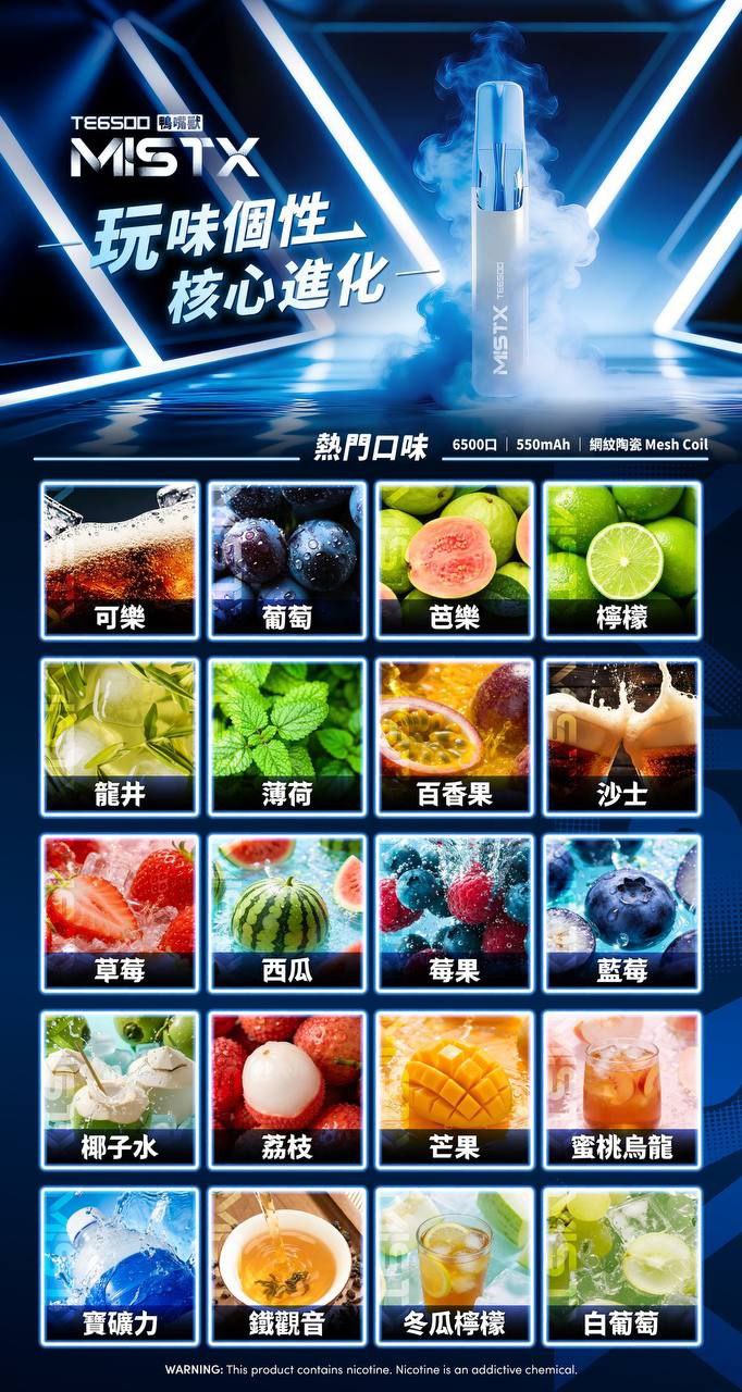 MIST X 鴨嘴獸 6500口 拋棄式 買十送一