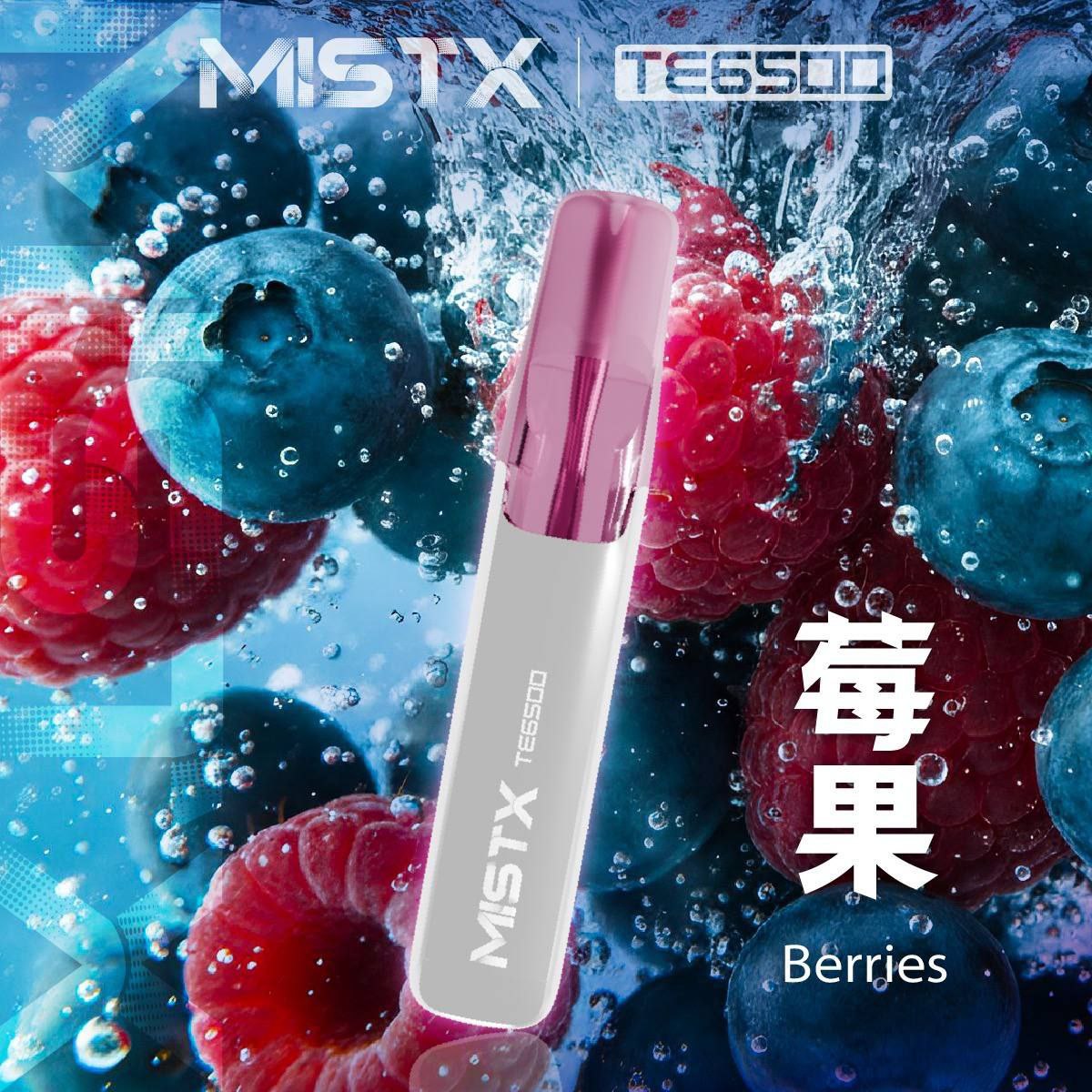 MIST X 鴨嘴獸 6500口 拋棄式 買十送一