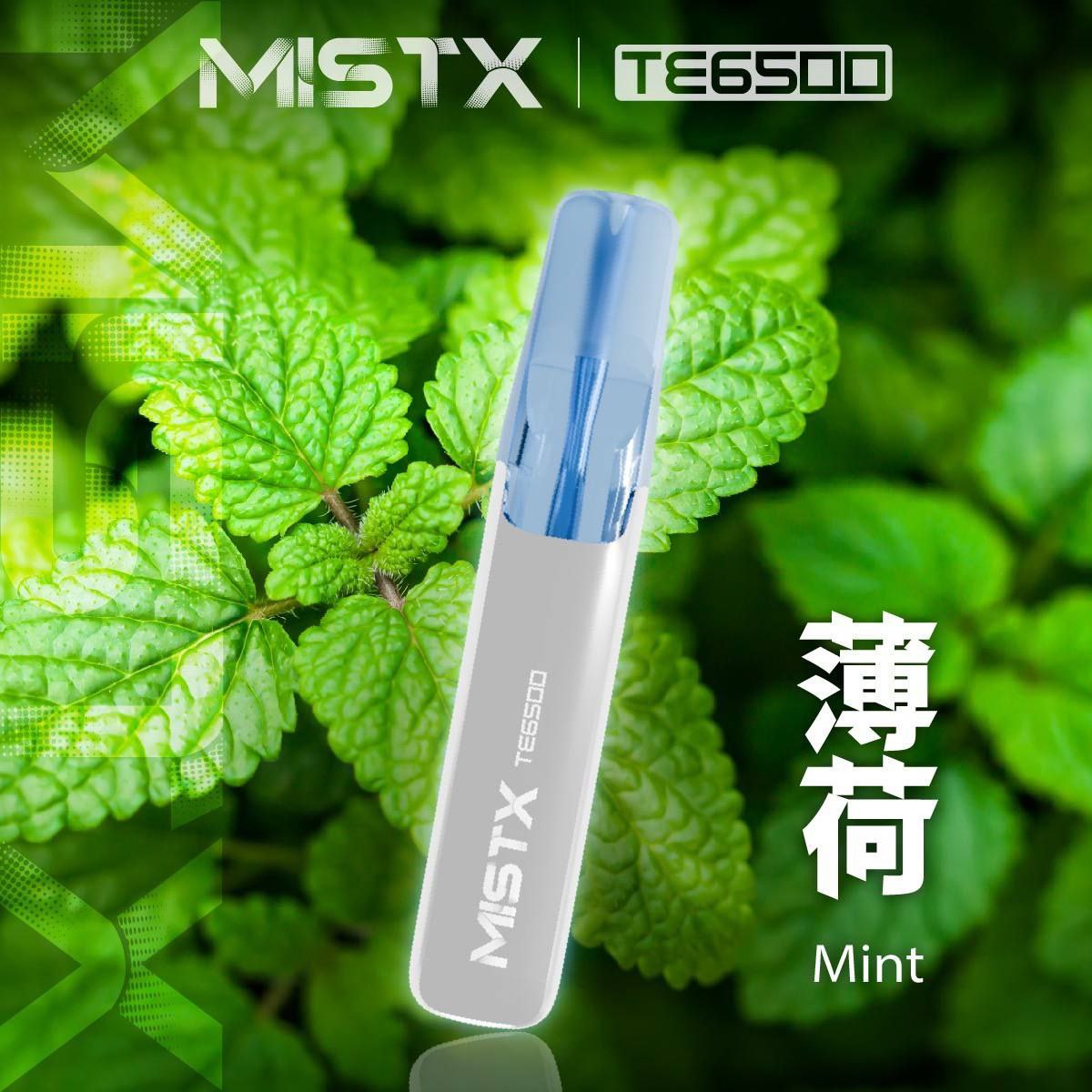 MIST X 鴨嘴獸 6500口 拋棄式 買十送一